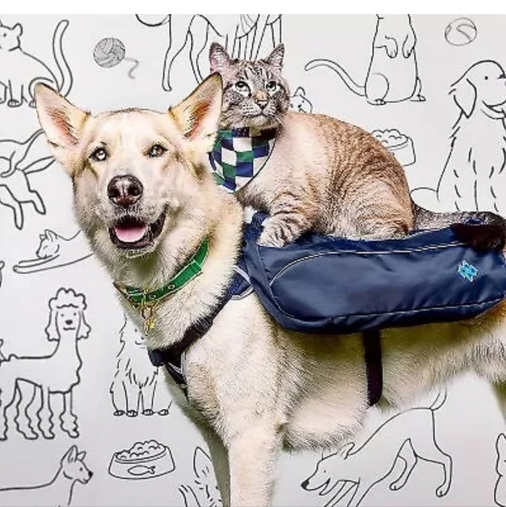 Dog Backpack Harness - Dark Blue - The Cuddle Collab